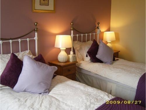 The Pack Horse Inn South Brent ห้อง รูปภาพ